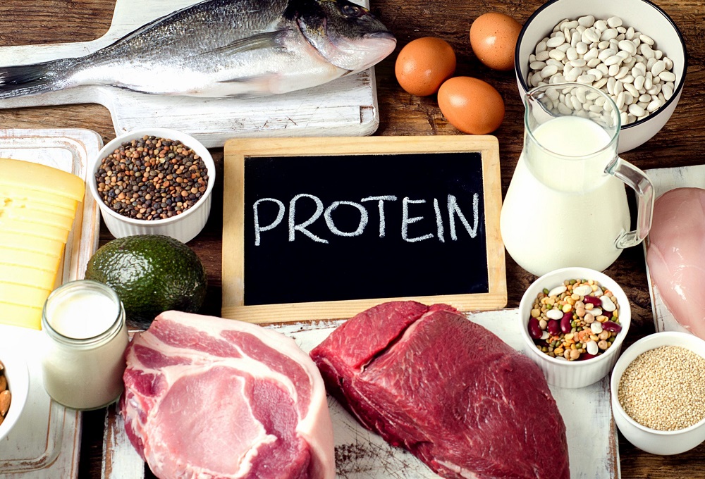 Cung cấp protein